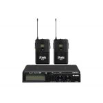 Радиосистема DV audio BGX-24 Dual с гарнитурами
