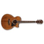 ​Акустическая гитара IBANEZ AE245 NT