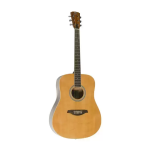 Акустическая гитара Virginia VD40 122006