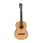 Классическая гитара Virginia V-C08 122000