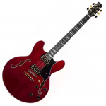 Полуакустическая гитара HERITAGE H555 TR WR W SETH'S